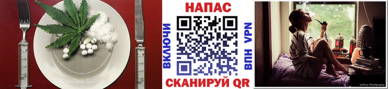 где можно купить наркотик  Мамадыш  Cannafood марихуана 