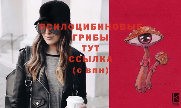 2c-b Костерёво