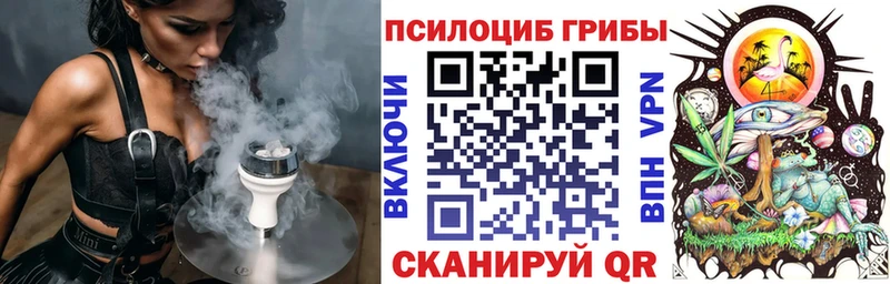 Галлюциногенные грибы прущие грибы  Мамадыш 